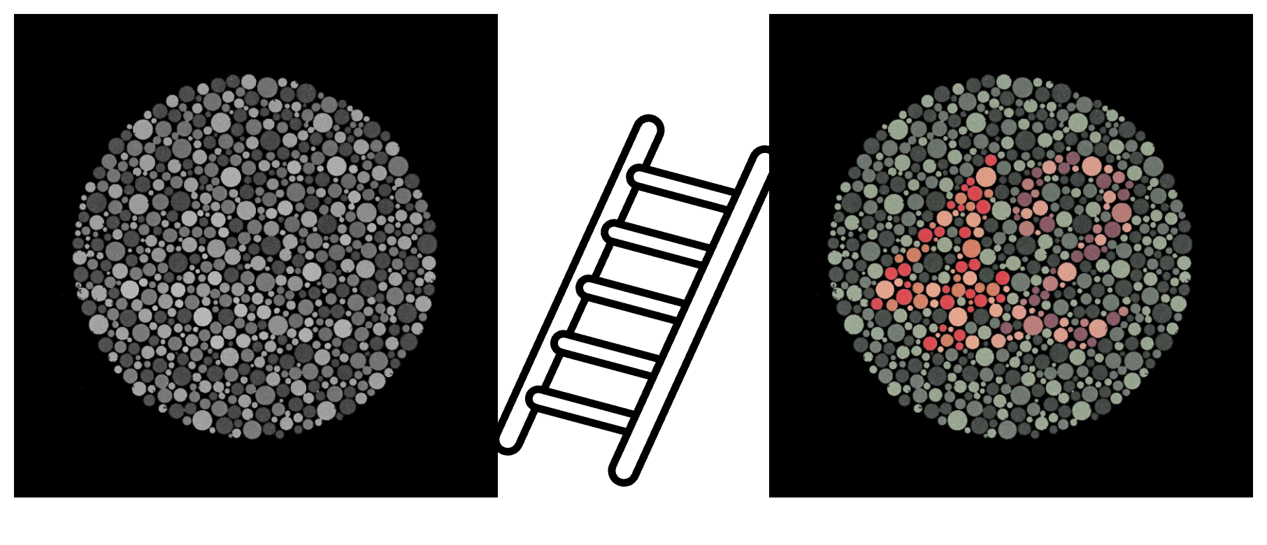 color-blind correction